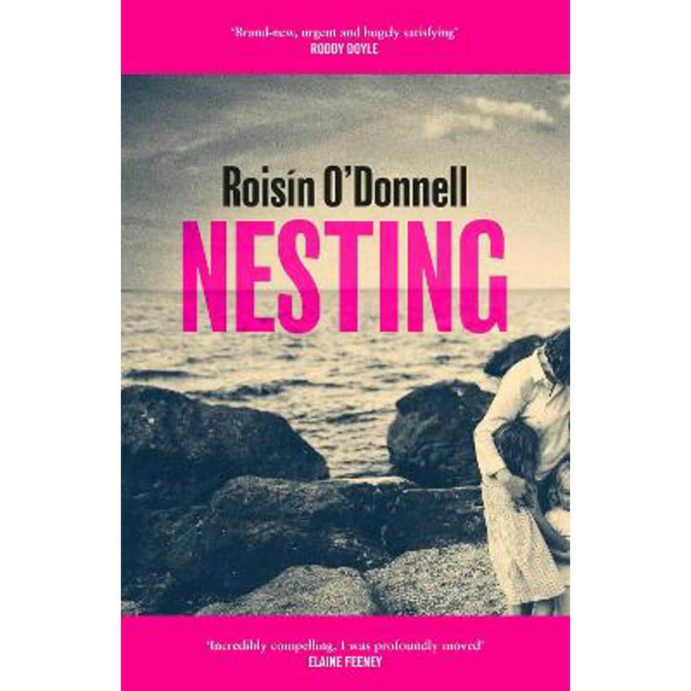 Nesting: The tender, soaring debut you won't be able to forget (Hardback) - Roisin O'Donnell